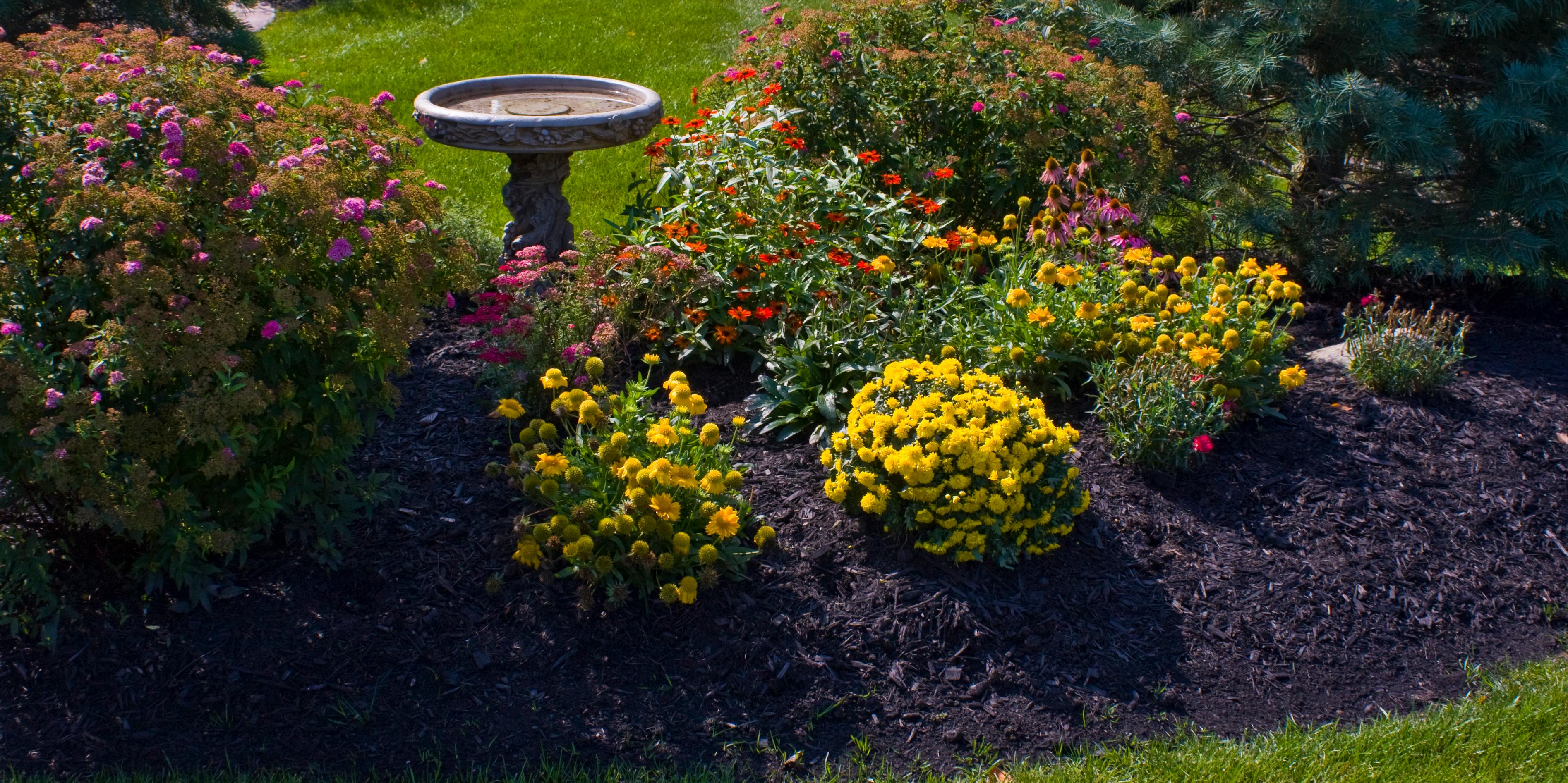 Mulch Colorants for Green Wood or Color Resistant Fiber Amerimulch